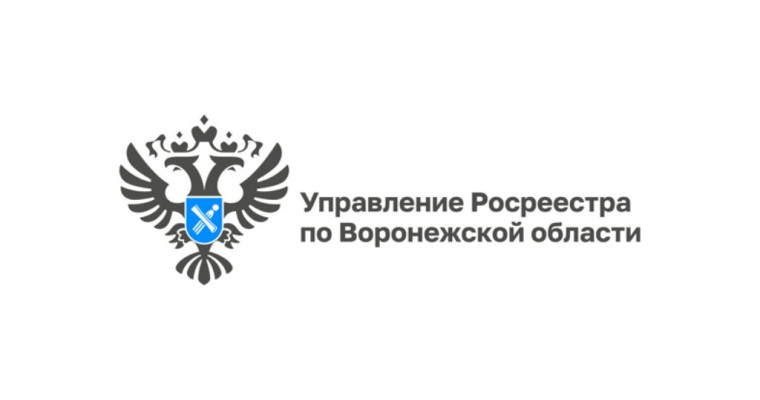 За полгода воронежцы заказали в 30 раз больше электронных выписок из ЕГРН чем бумажных.